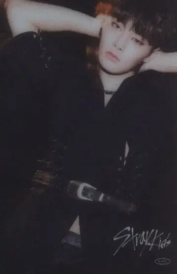 StrayKids TowerRecords I.N SCARS 클리어