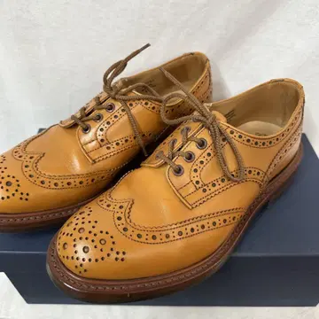 Tricker's 버튼 윙 칩 (26.5cm)