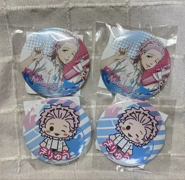WIND BREAKER 윈브 키류 미츠키 캔뱃지