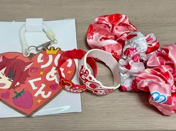 리견 스크런치 러버 패스 케이스