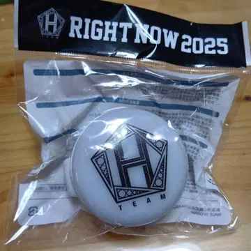 RIGHT NOW 2025 응원봉 H 로고