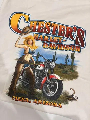 Harley-Davidson 티셔츠 L 사이즈 할리데이비슨