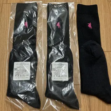 클라크 기념 국제 고등학교 여자 하이삭스 3족