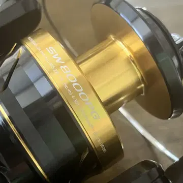 시마노 SHIMANO 21 스페로스 SW 8000PG