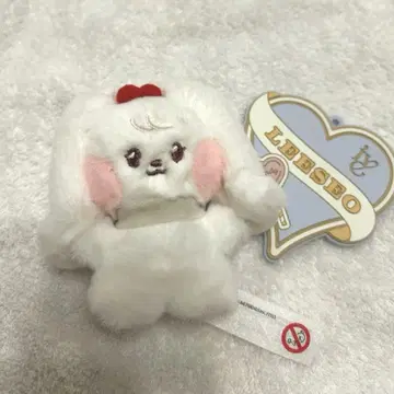 ive minive 원영 체리 짱 & 제일복권 러버 참