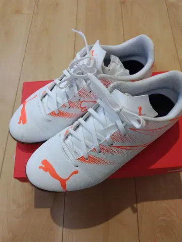 Puma 풋살화 화이트/오렌지