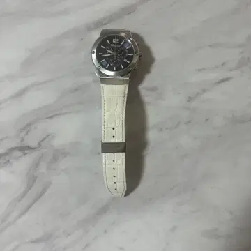 페라가모 시계 f80