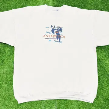 Hanes 헤인즈 맨투맨 애니멀 XL 90s USA제 빈티지