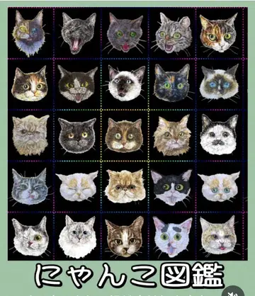 무지개 고양이 본점 냥코 도감 오시네코, 80retro 오더