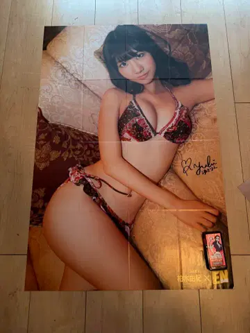 할인 최저가 AKB48 카시와기 유키 부록 포스터 전 4장 세트