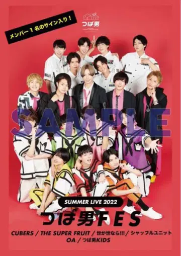 세상이 평온하다면!!! 하시즈마 유마 사인 포함 포스터