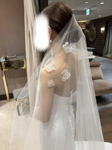 트리트 드레싱 웨딩 베일 나비 자수 롱 트레인