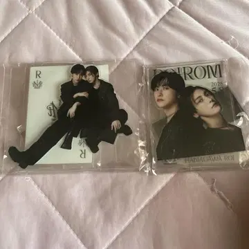 미개봉 ROIROM 아크릴 스탠드 로이로무