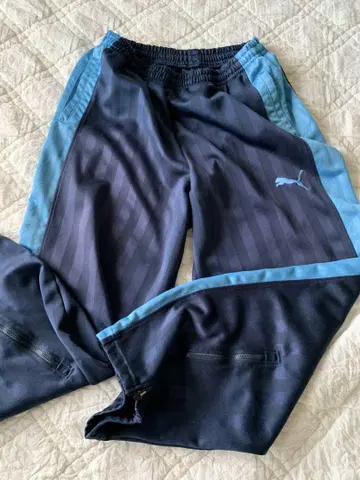 Puma 저리