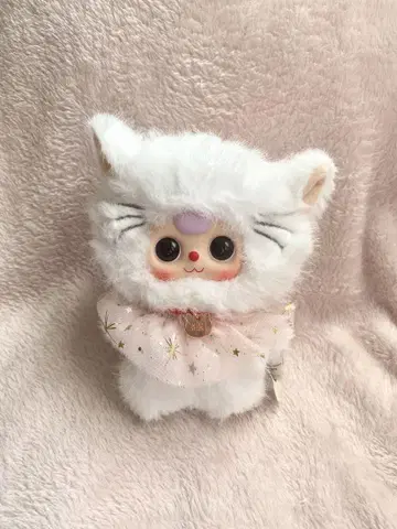 babythree 고양이 고양이