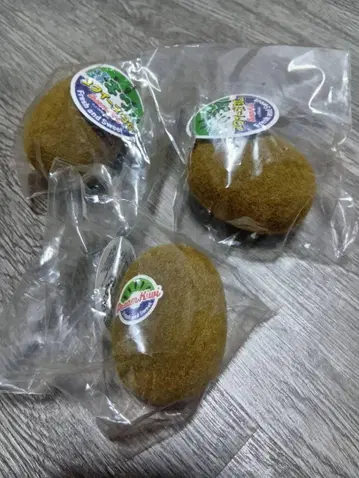 폭신폭신 키위 스퀴즈 BC