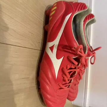MONARCIDA NEO