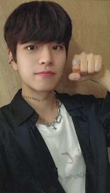 Stray Kids Seungmin SCARS 트레이딩 카드 C