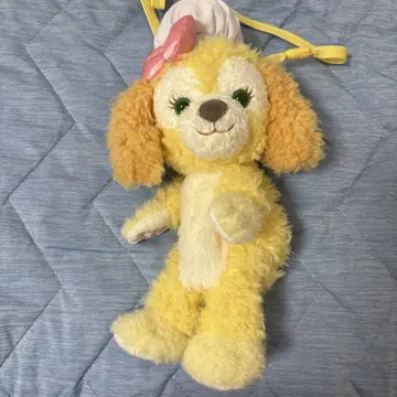 쿠키 앤 숄더백
