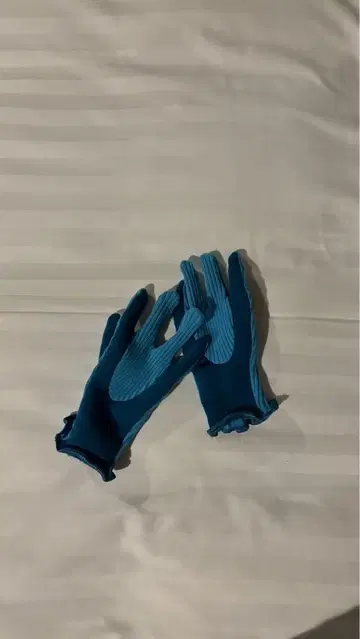 Anthony calydon gloves