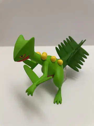 포켓몬 스케일 월드 호연지방 나무킹
