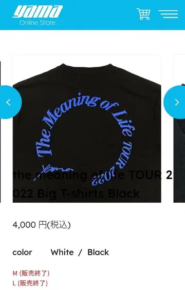 the meaning of life TOUR 2022 빅 T셔츠 M