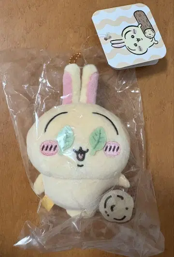 치이카와 (먼작귀) 이건 수박 깨기인가요? 마스코트 (토끼)