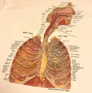 해부도 anatomy 인체 모형 아트 빈티지 티셔츠 커트 코베인