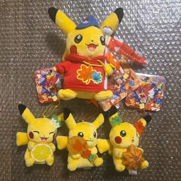 포켓몬 히로시마 한정 봉제 인형 마스코트 4종 세트