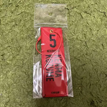 극장판 하이큐!! 쓰레기장의 결전전 플라이트 택 키링