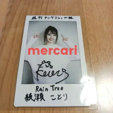 Rain Tree 아야세 코토리 폴라로이드