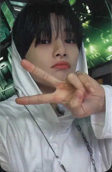 Stray Kids I.N -STAR AppleMusic 트레이딩 카드