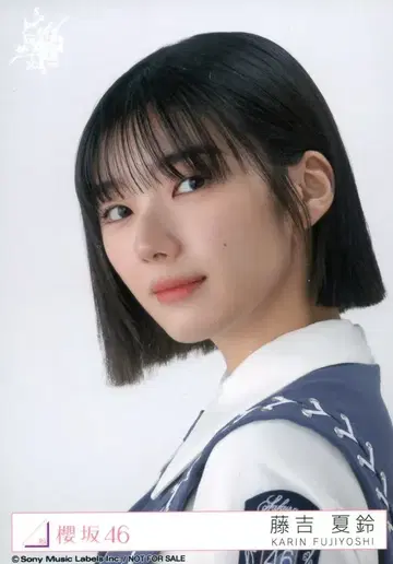 사쿠라자카46 자업자득 후지요시 카린 예약 특전 브로마이드 도쿄돔
