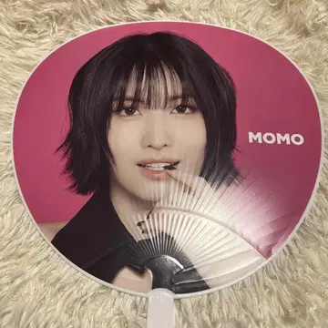 TWICE SANA 허벅지 부채