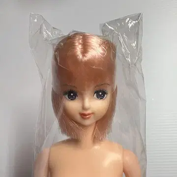 리카짱 캐슬 리틀 팩토리 오타노시미 인형 프렌드H 나나코