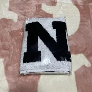 FTISLAND NWU 투어 머플러 타월