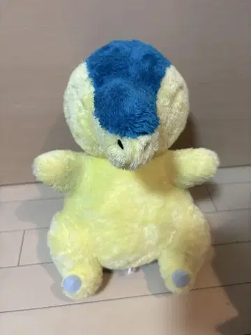포켓몬 봉제 인형