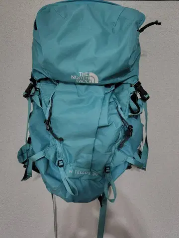 THE NORTH FACE TELUS 30 백팩 여성용