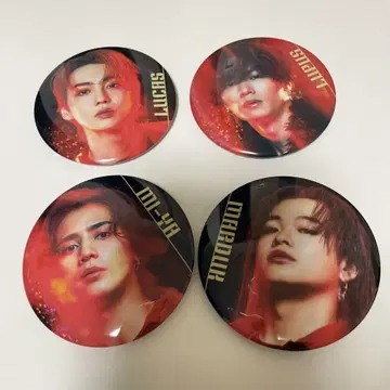 캔뱃지 4개 세트 BOT
