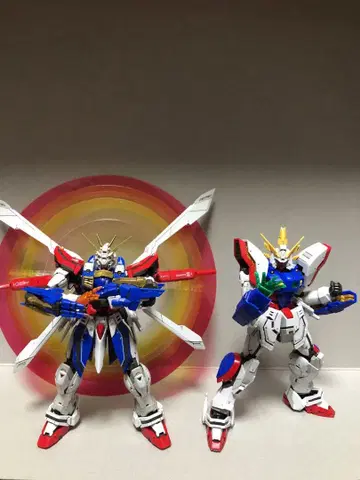 RG 갓건담 & 샤이닝 건담