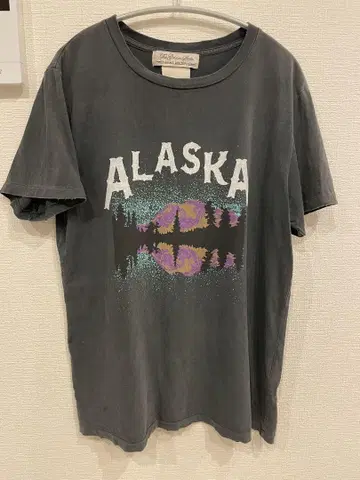 REMI RELIEF 레미 릴리프 ALASKA 티셔츠