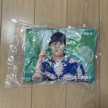 세계 쿠션