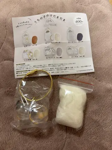 우리 아이의 털뭉치 삼색 고양이