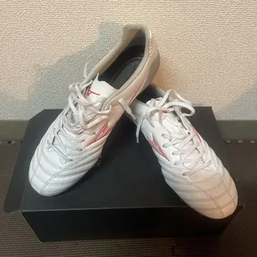 JP27.0cm 미즈노 모나르시다 네오