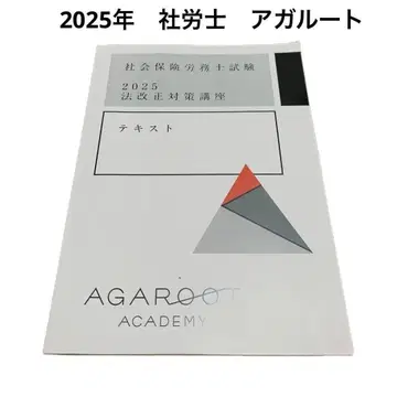 2025년 아가루트 법 개정 요약 텍스트 사회보험노무사