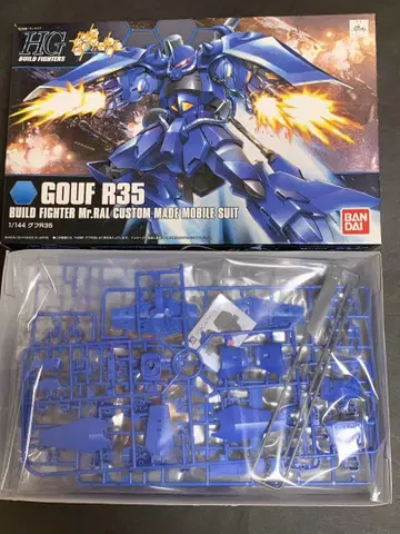 HGBF 구프 R35