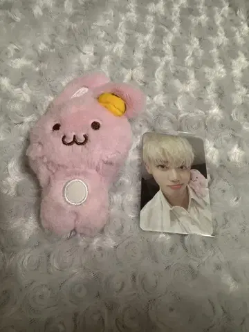 nctdream 제민 봉제 인형 핑끼 자석 키링