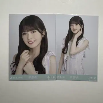 노기자카46 오가와 아야 자동차 도로 쪽 브로마이드 세미 콘 요리츄