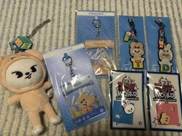 Stray Kids TOYWORLD 키링 세트