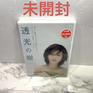 미개봉 투광의 나무 [DVD]